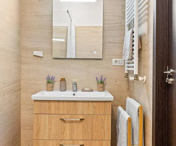 Unirii Plaza Apartment *